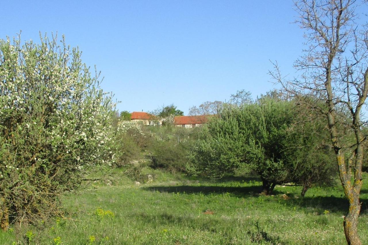 Вилла Stone House In A Quiet Landscape, Leonidion Экстерьер фото